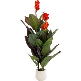 Roślina sztuczna CANNA LILY 165 cm Wymiary: - szerokość: 55 cm - głębokość: 55 cm - wysokość: 165 cm Materiał: - polietylen - poliester - cement -...