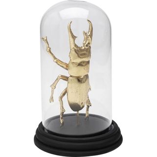Dekoracja STAG BEETLE - transparentny/złoty