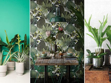 Urban jungle w salonie