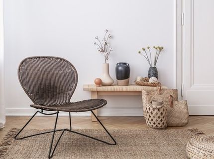 Wiklina w salonie – naturalne oblicze Twojego pokoju