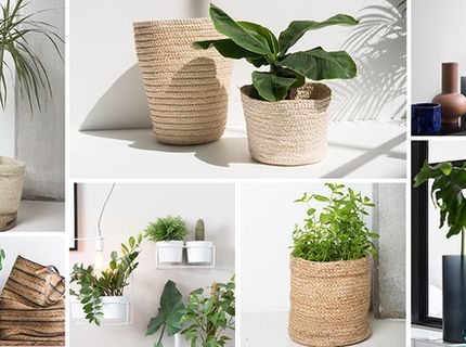 Urban Jungle, czyli sztuczne rośliny we wnętrzach