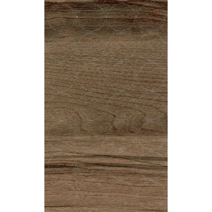 Zaślepka samoprzylepna 867 - brzoza ojców ciemna / 20 mm / Egger H1151