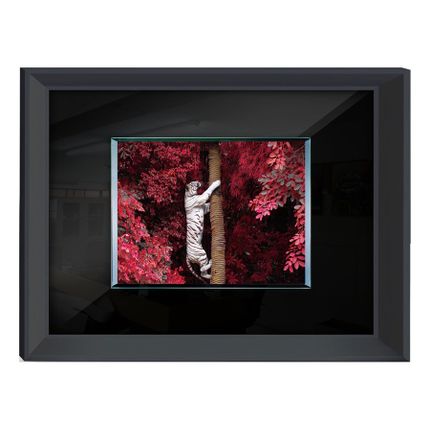 Obraz TYGRYS S61303 80x60