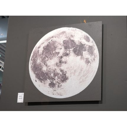 Obraz MOON S22558 60x60