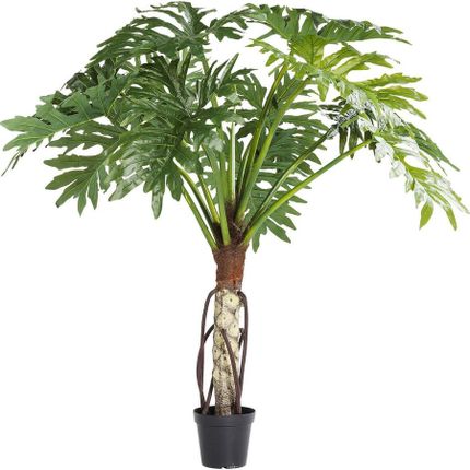 Roślina dekoracyjna BIG MONSTERA 175