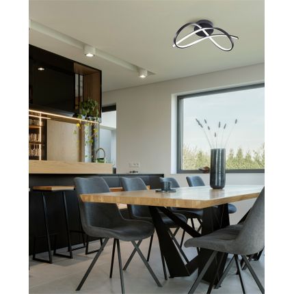 Lampa sufitowa ERDA 19600C-BK - czarny