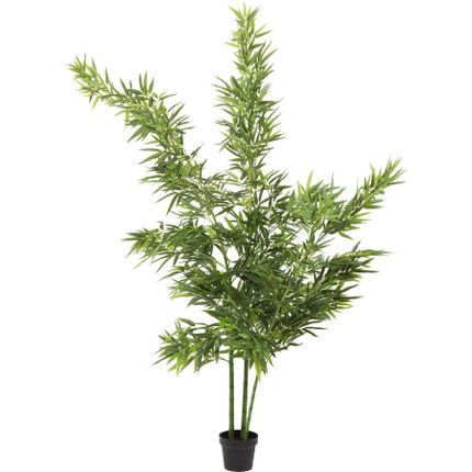Roślina dekoracyjna BAMBOO TREE 200
