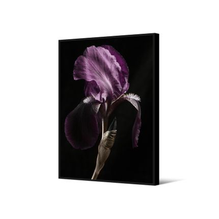 Obraz z kwiatem TOIR26605 102x142 cm - fioletowy