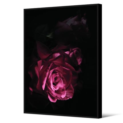 Obraz z różą nowoczesny TOIR25601 102x142 cm
