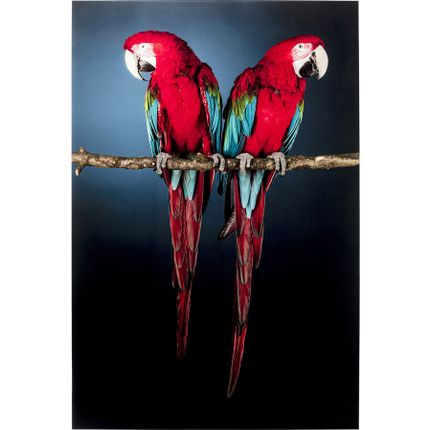 Obraz szklanyTWIN PARROT 80x120