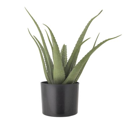 Roślina dekoracyjna ALOE 61 cm