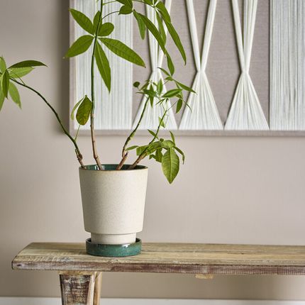 idril_flowerpot_wsaucer_nature_stoneware_d19xh255_c_2327035534.jpg