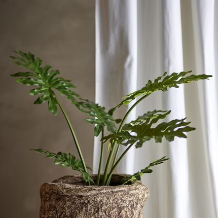 philodendron_artificial_plant_green_plastic_d13xh84_7560133673.jpg