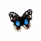 Gałka BUTTERFLY H045-40 - wielokolorowy / 48 mm