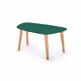Stolik kawowy ENDOCARP 80x48x40 cm - zielony butelkowy