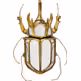 Dekoracja ścienna BEETLE MIRROR 25x39 - lustrzany/złoty