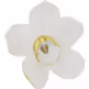 Dekoracja ścienna ORCHID 44 - biały/złoty