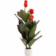 Roślina sztuczna CANNA LILY 165 cm
