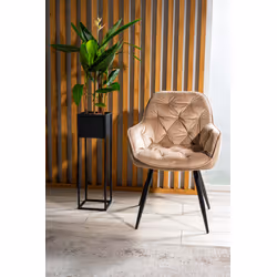 Krzesło welurowe pikowane CHERRY Velvet - beż Bluvel 28