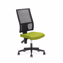 Fotel biurowy TAKTIK MESH Ergon-2L
