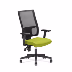 Fotel biurowy TAKTIK MESH Ergon-2L