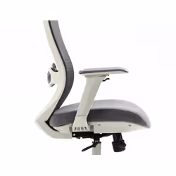 Fotel ergonomiczny ERGON - szary