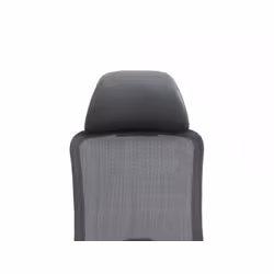 Fotel ergonomiczny ERGON - szary