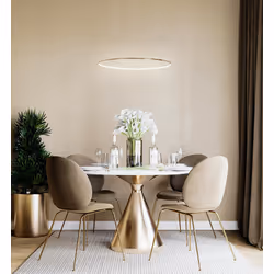 MOOSEE Lampa wisząca RING SLIM 40 - złoty