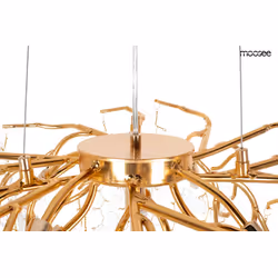 MOOSEE Lampa wisząca RIVIERA 80 - złoty/clear