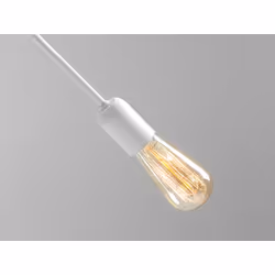 Lampa wisząca TWIGO 2 - biały