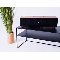 Stolik RTV SENSO FLOWER METAL 120x45 P - czarny