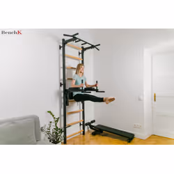 Wielofunkcyjna drabinka gimnastyczna BenchK 723B - czarny