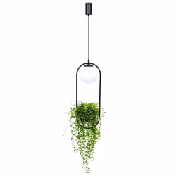Lampa wisząca PLANT 1 5003 - czarny