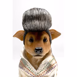Skarbonka KING DOG - brązowy/srebrny