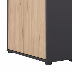 Regał niski z drzwiami SIGN 80 cm - szary mat/jackson hickory