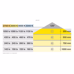 Taśma LED Häfele Loox5 2071, 12 V, 8mm, 60LED/m, 4,8W/m, barwa zimna 5000K, IP20, 5m