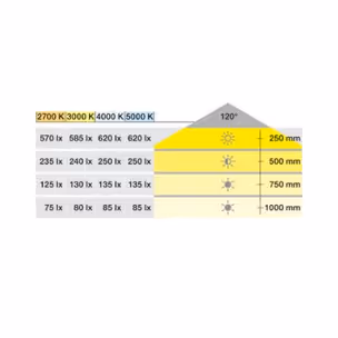Taśma LED Häfele Loox5 2074, 12V, 8mm, 120LED/m, 9,6W/m, barwa zimna 5000K, IP20, 5m