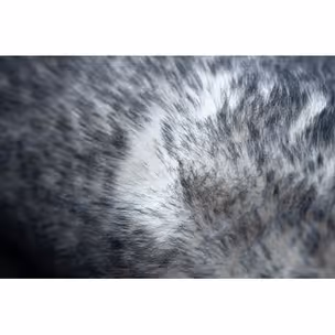 Dywan okrągły GLOOMY