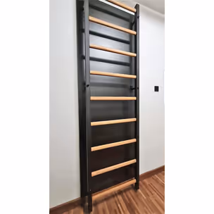 Drabinka gimnastyczna BenchK 700B - czarny