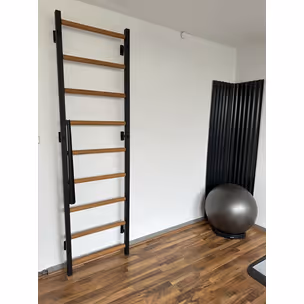 Drabinka gimnastyczna BenchK 700B - czarny