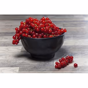 Miska ceramiczna ORGANIC 15 - czarny