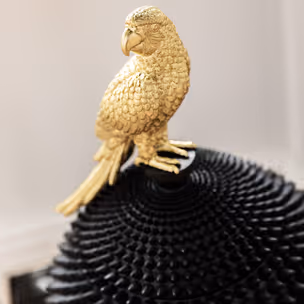 Pojemnik dekoracyjny PARROT - złoty/czarny