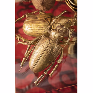 Dekoracja ścienna LONGICORN BEETLE - złoty