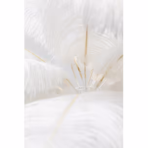 Lampa stołowa FEATHER PALM - biały/złoty
