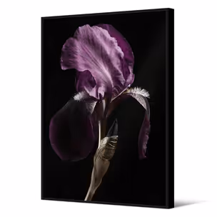Obraz z kwiatem TOIR26605 82x122 cm - fioletowy