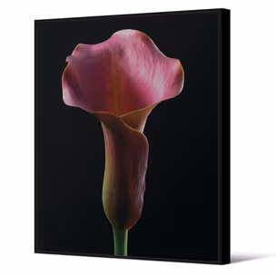 Obraz z kwiatem TOIR26568 82x122 - różowy