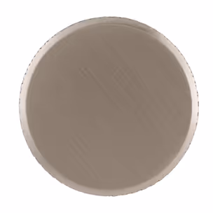 Gałka 2464 - efekt matowej stali  szlachetnej / fi 24 mm