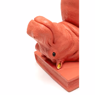 Zestaw dwóch podpórek do książek HIPPO - różowy