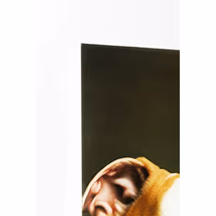 Obraz szklany DOG FAMILY 110x90