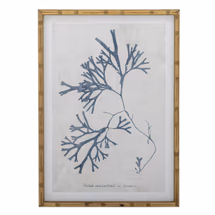 Ilustracja SUMNER 50x70